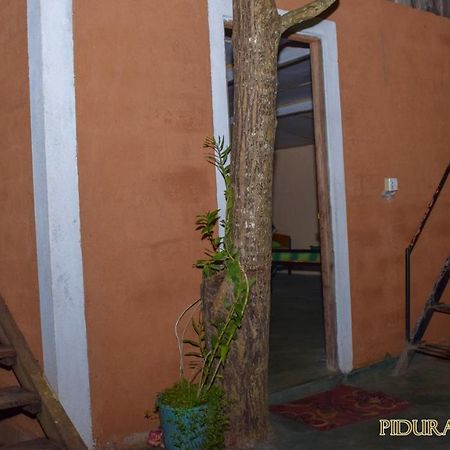 Pidurangala Hostel Sigirîya Extérieur photo